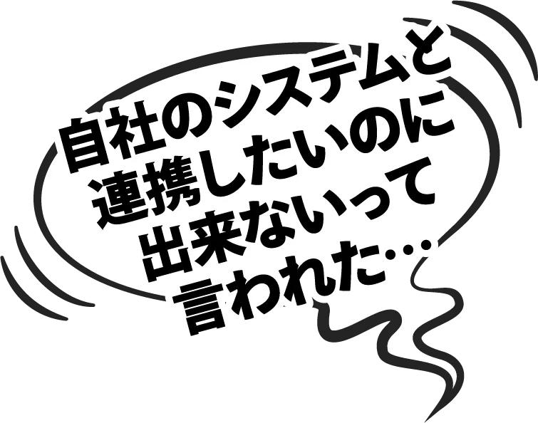 自社のシステムと連携したいのに出来ないって言われた…